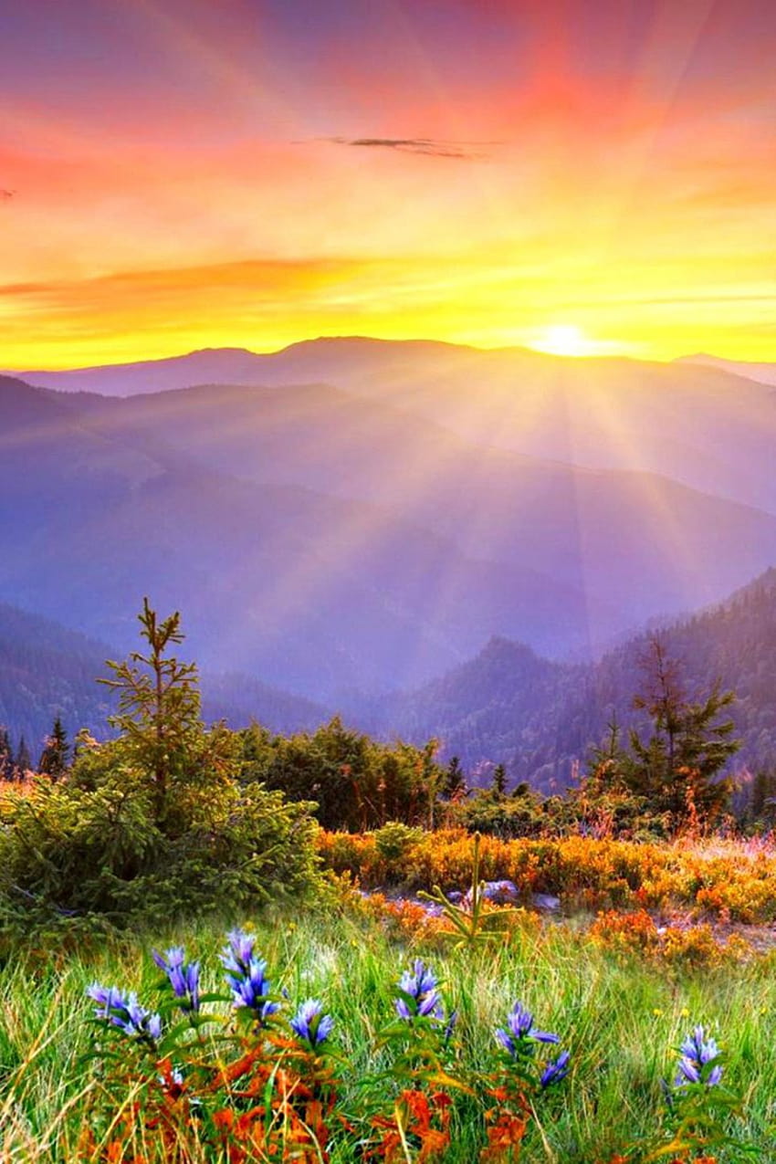 Threshold Day “Thresholds: A Bridging Celebration” - First Unitarian Church of ...